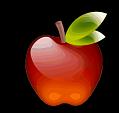 fruit (27)